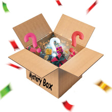 Mystery Box Premium Product Mystery Box Value Rs. 1000